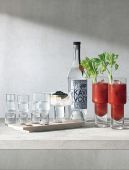 Набор из 4 стопок и чаши для закусок на подносе Vodka, 50 мл